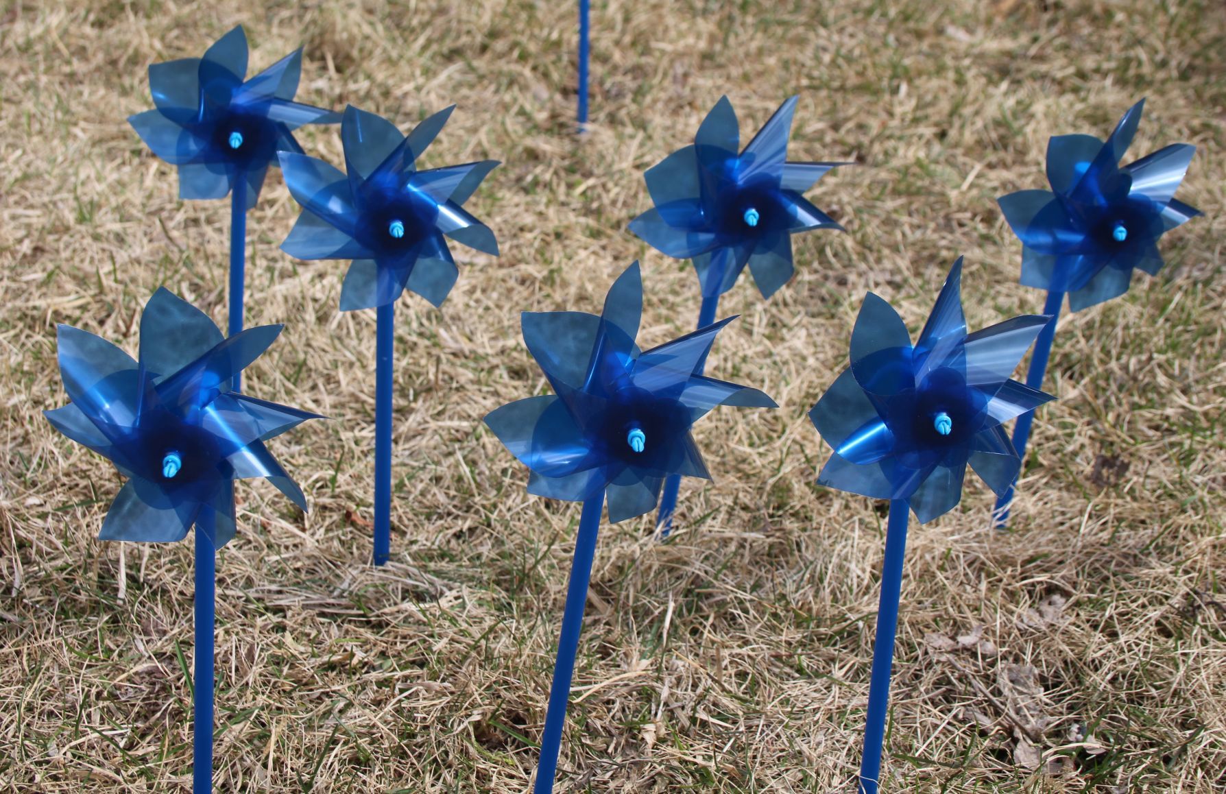 Blue pinwheels